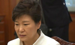 박근혜 편지, 누리꾼들 