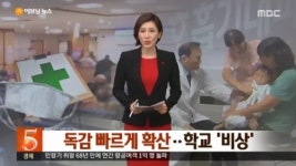 독감 급증 초중고교 조기방학 검토..네티즌 이미 휩쓸고 지나갔다