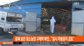 충북 보은 젖소농장 구제역 확진, 반경 3km 이동 중지 검토…네티즌 “갈수록 태산”