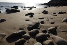 봄바람 살랑 살랑, 전남 고흥 봄 나들이