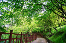 5월에 걷기 좋은 길, 가족과 함께 걸어요