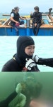주먹쥐고 뱃고동 세정, 멍게 발견에 수중 댄스타임