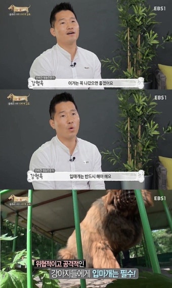 강형욱 