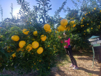 남쪽 바다에서 즐기는 풍성한 가을 … 맛과 멋에 흠뻑