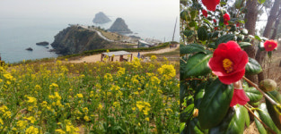 부산의 비경, 오륙도와 아홉산숲