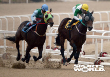[SW포토] 힘찬 질주하는 경주마