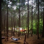 바람과 구름과 나무… 고요한 휴식으로의 초대 ‘전남 고흥’