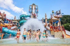 무더위 싹~ 오션월드서 여름을 즐기자