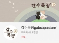 유튜버 갑수목장, 논란 해명…“펫샵에서 산 건 맞지만 동물 학대는 아냐”