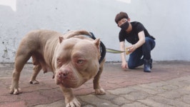 “강아지 산책이 필수인가요?”…‘동물농장’ 산책에 대한 오해와 진실 파헤친다
