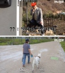 장애견을 관종견으로 둔갑… ‘TV 동물농장’ 이래도 되나