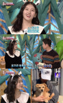 ‘동물농장’ 모델 심소영, 스페셜 MC 등장…“유기견 봉사 자주 가”