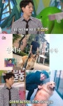 ‘동물농장’ 씨엔블루 이정신, 7살 된 아들 공개? “이름은 이심바”