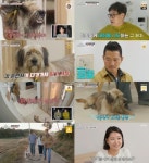 ‘개훌륭’ 공격성 폭발한 삽살개…보호자 “책임지고 싶다” 눈물