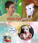 신동엽, ‘동물농장’ MC 21년 만에 유기견 입양…닮은꼴 외모에 ‘깜짝’