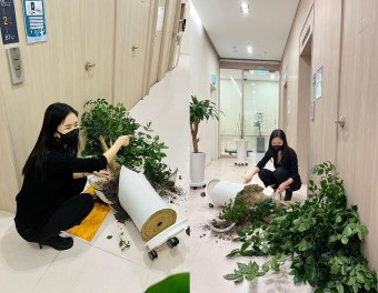 ‘한창’ 장영란, 아끼던 병원 화분 박살…“내가 못 살아” [스타샷]