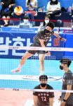 팔마항공전세유 | 정지석 날았다…대한항공, 순조로운 출발