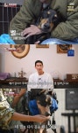 배정남, 반려견 전신마비→교감으로 재활 중 “기적 믿는다” (동물농장)