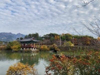 이순신·왕인 박사·한석봉母도 머물다간 ‘구림 전통마을’