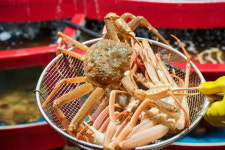 살 꽉 찬 대게, 지금이 제철… 울진 바다의 보물 잡으러 가자