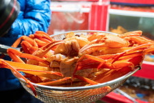 살 꽉 찬 대게, 지금이 제철… 울진 바다의 보물 잡으러 가자