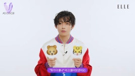 방탄소년단 뷔, ‘곰vs호랑이’ 논란 종결…000 택해