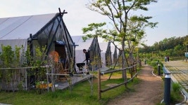 자연의 선물로 만든 먹거리 체험… 팜스테이로 힐링여행도