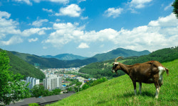 선선한 가을 밤 별 보러 떠날까