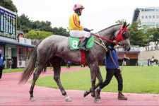 최우수 신예 가린다…서울·부경 2세마들 집결