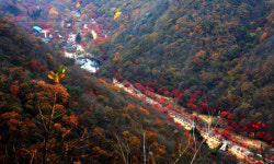 옛길 걸으며 단풍에 흠뻑