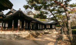 고궁·종묘…종로 구석구석 거닐며 그때 그 시절로 떠나요