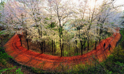 [어싱, 맨발걷기 열풍] 180억 들여 맨발족 성지 조성…매일 찾아가 길동무 역할도