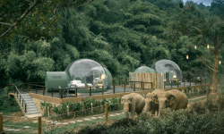 푸른 자연 속으로 풍덩…녹색 갈증 풀러 떠나요