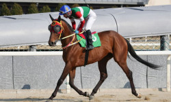 서울 2000m 레이스…최상위권 도약 향한 1등급들의 질주