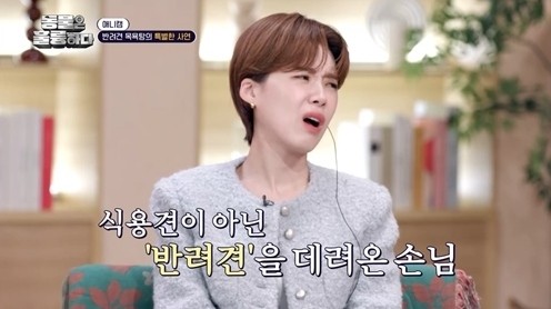 35년간 식용견 업자에서 반려견 목욕탕 창업, 새로운 동물 복지 시대 구축