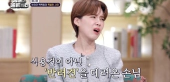35년간 식용견 업자에서 반려견 목욕탕 창업, 새로운 동물 복지 시대 구축