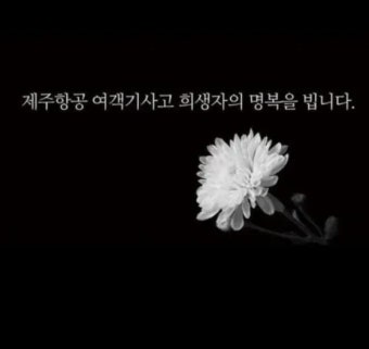 ‘조국 딸’ 조민, 제주항공 참사 피해자 위해 천만원 기부