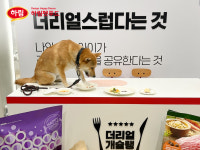 “금요일도 함께해요!” 하림펫푸드 해피댄스스튜디오 투어 ‘확대’