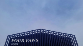 “영원한 이별 아닌 새로운 시작” 펫 장례식장 포포즈… 무지개다리 너머 ‘네 발자국’