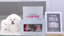 “단순 견학 아닌 미식축제”… 예약 꽉 찬 ‘하림펫푸드 투어’ 가보니