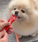 반려다움 “펫 영양제도 맛있고 건강해야… 농심이니까!”