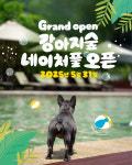 “강아지숲 네이처풀에서 수영할 댕댕이 모이라개~”