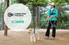 영유아 돌봄 업체의 펫 산업 진출… 커넥팅더닷츠의 시대적 진화