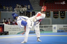 ‘2500명 선수 참가’ 협회장기 전국단체대항태권도대회, 태백서 개최