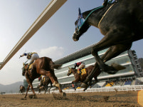 렛츠런파크 부산경남, 대형 프로젝트로 20주년 재도약 ‘박차’