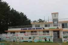 비전문가들이 고양이 죽였다?… 논란의 통영 ‘고양이학교’ 가보니