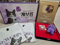 길냥이에서 ‘국민진통제’ 홍보대사로… “맞다 개보름” 아시나요?