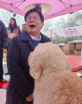 [냥집사 박기자가 간다] 펫세권 마포구… ‘개 특별한’ 홍보대사 위촉식