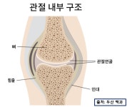[메디컬 리포트] 론조 볼을 괴롭히는 무릎 관절 연골 손상이란?