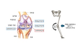 지심지미메디컬 | [메디컬 리포트] 라멜로 볼의 불만&오재현의 투혼